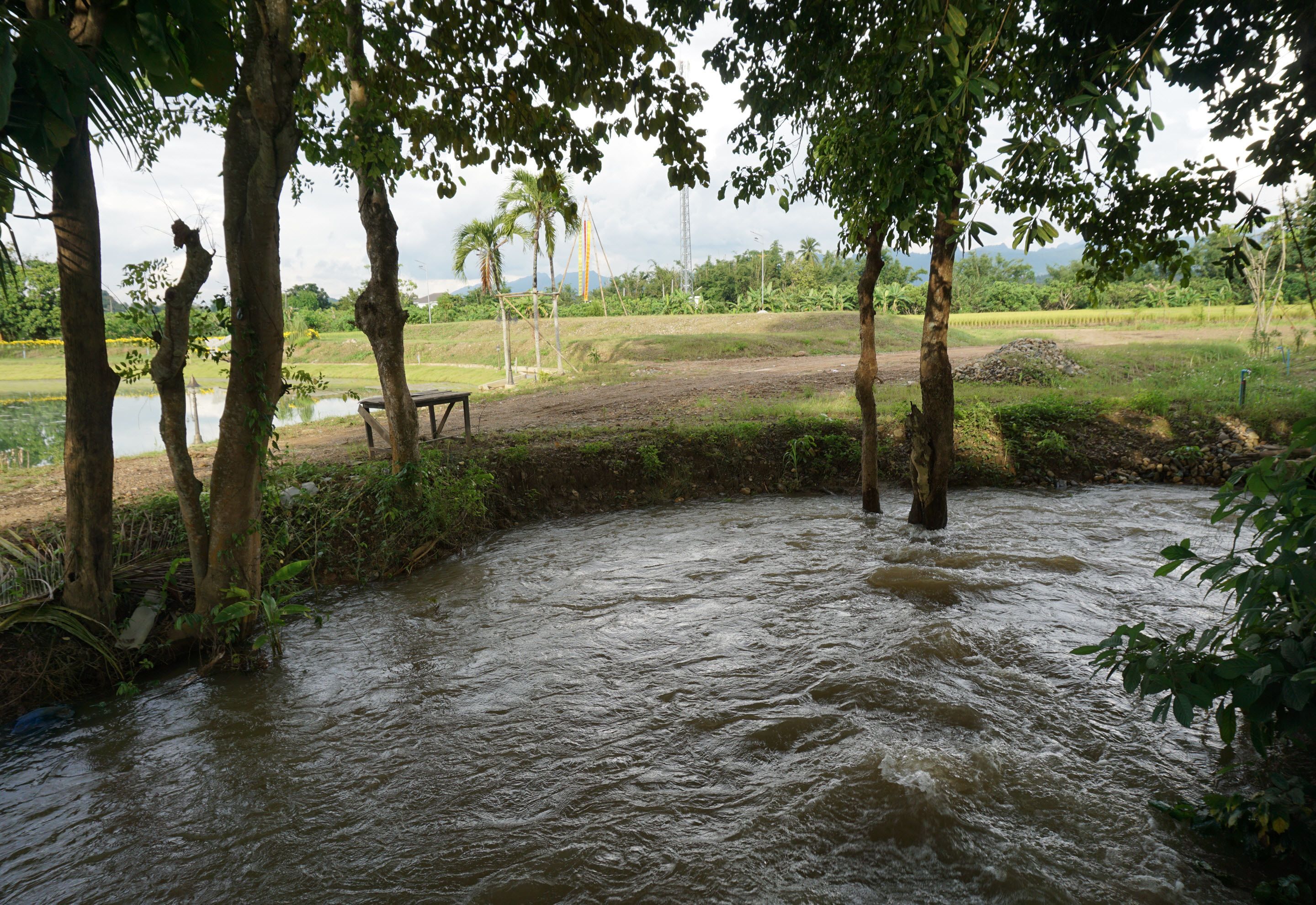 A river flowing through a natural landscape with trees and a picnic table.