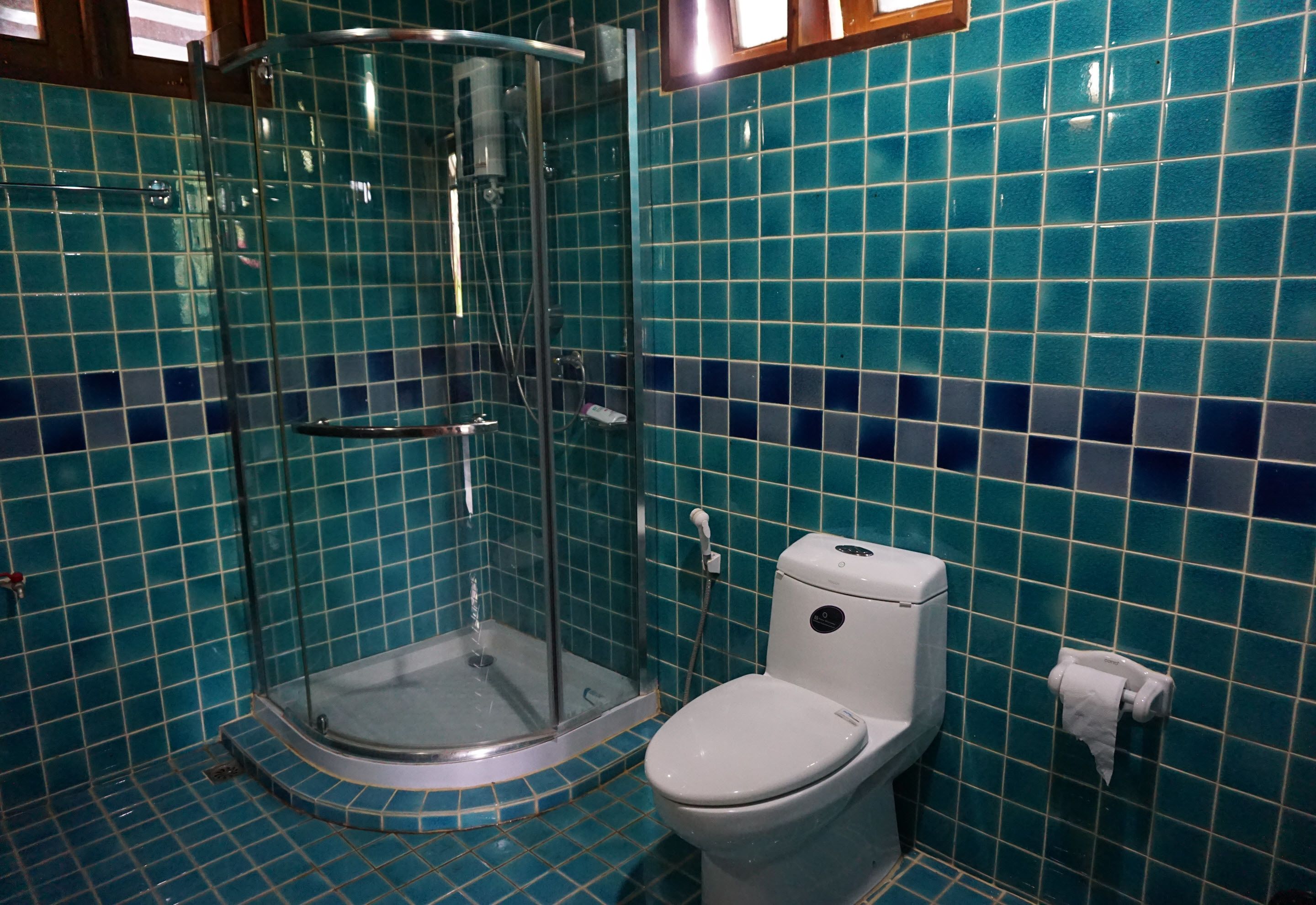 A bathroom with a glass-enclosed shower, a toilet, and blue-tiled walls.