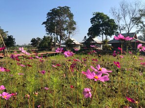 Land view from property