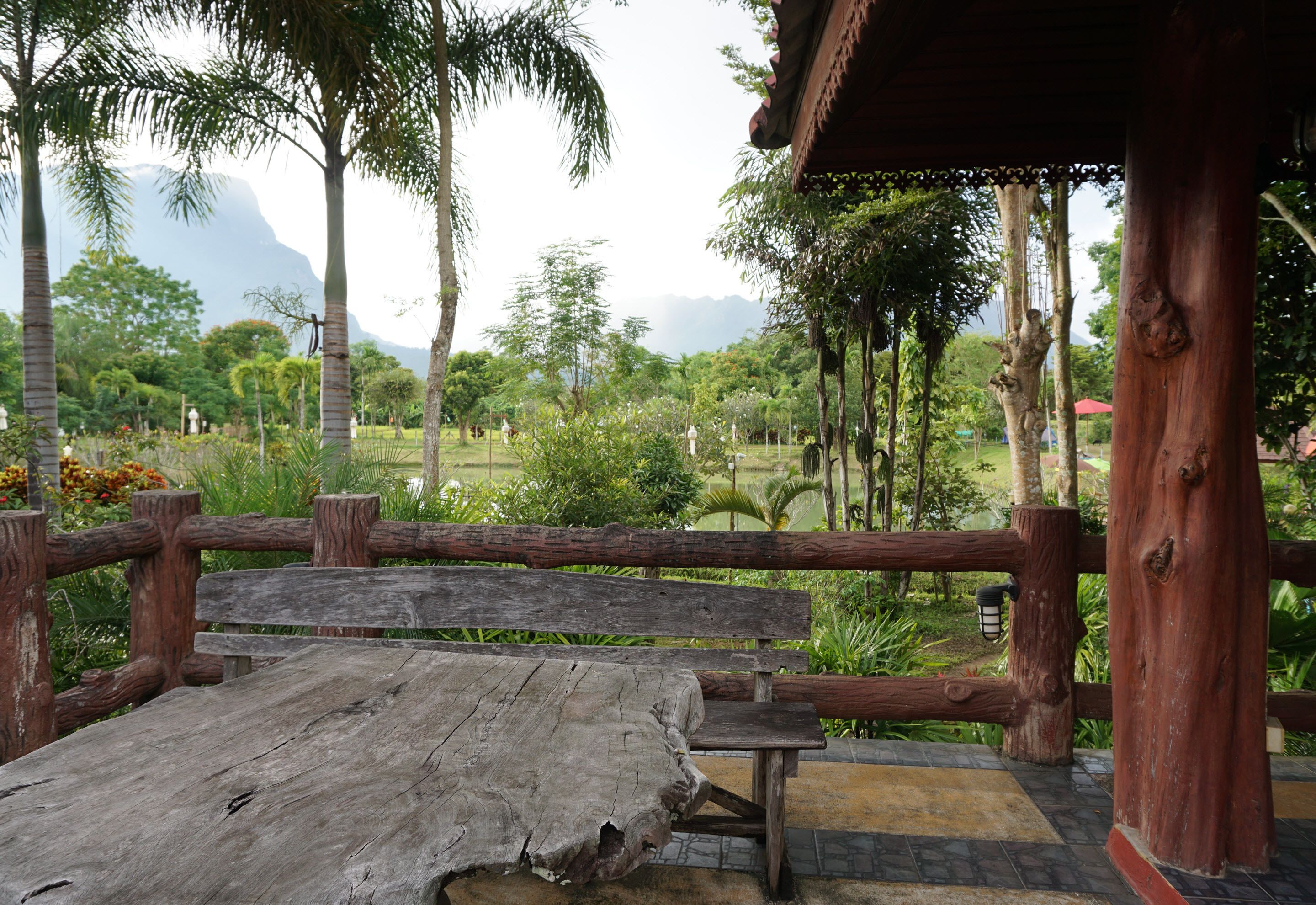 A wooden bench and a wooden fence overlooking a lush garden with various plants and trees.