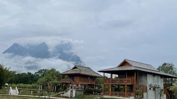 1 habitación y wifi gratis