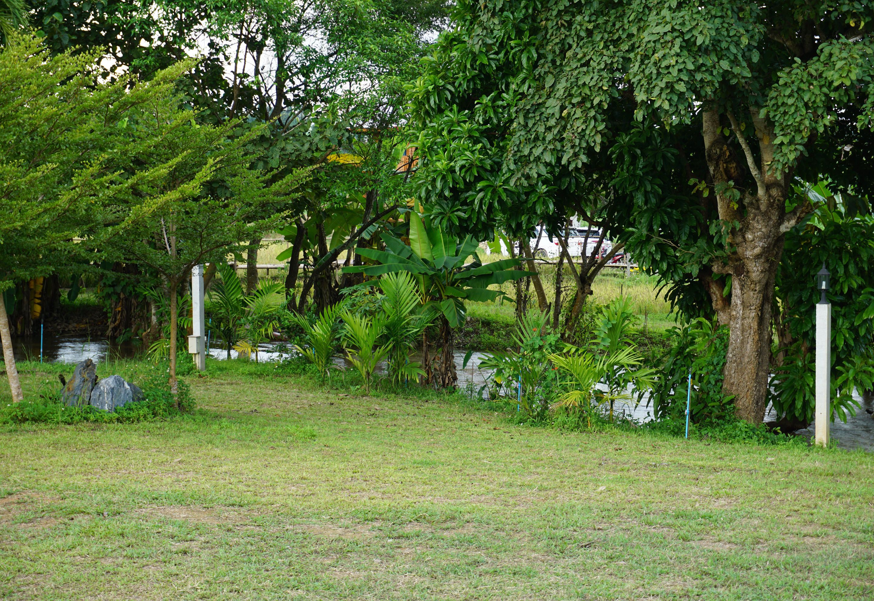 A grassy area with trees and a body of water.