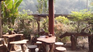 Un espace de restauration en plein air avec des tables et des tabourets en bois rustique, entouré d’une végétation luxuriante et d’arbres.