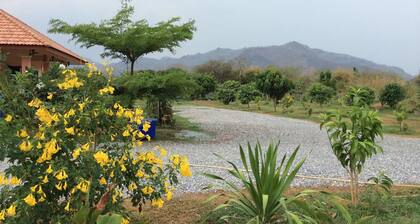 Chaleena Homestay