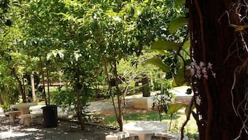 Εξωτερικός χώρος καταλύματος