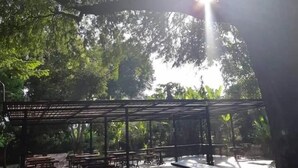 Un espace extérieur aménagé avec des tables de pique-nique et un coin salon abrité, le tout entouré d’arbres.