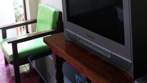 Une pièce avec un téléviseur posé sur un meuble en bois, un fauteuil vert et une fenêtre avec des rideaux.