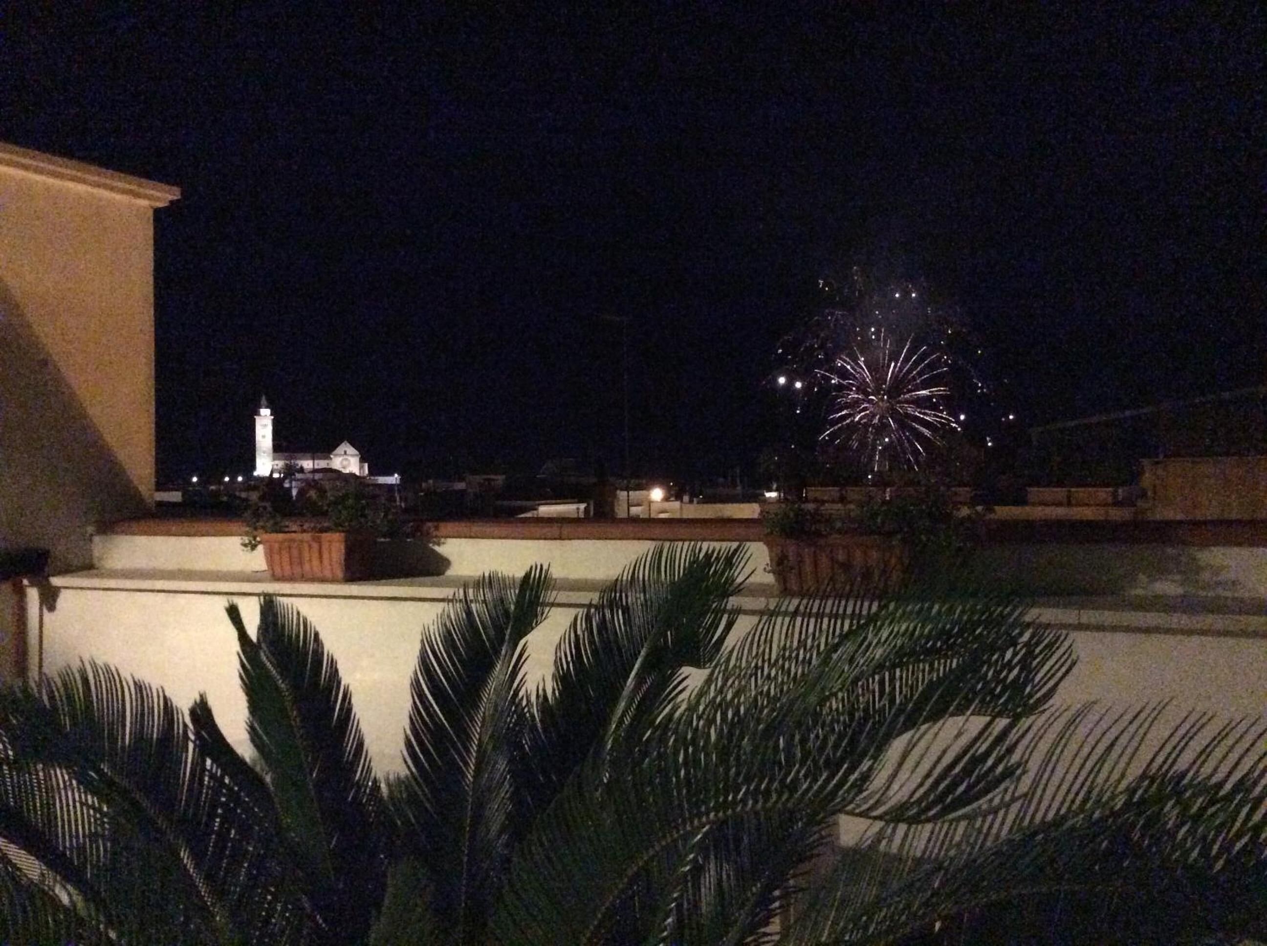 A night scene with fireworks, a building with a tower, and palm trees.