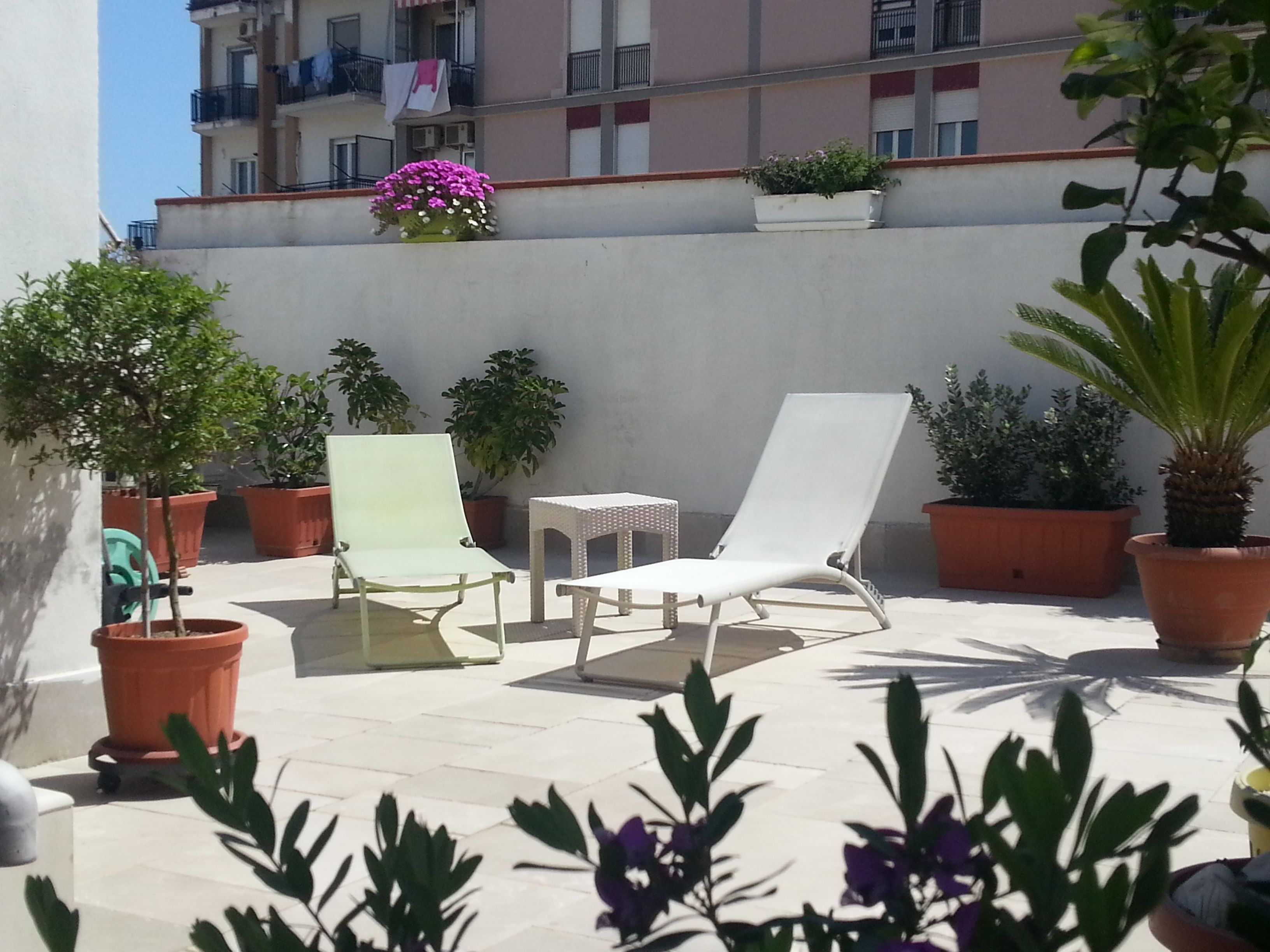 Une terrasse sur le toit, avec deux chaises longues, une petite table et plusieurs plantes en pot.