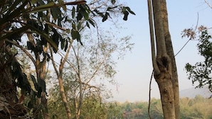 View from property - Yayei Homestay (Sai Yok)