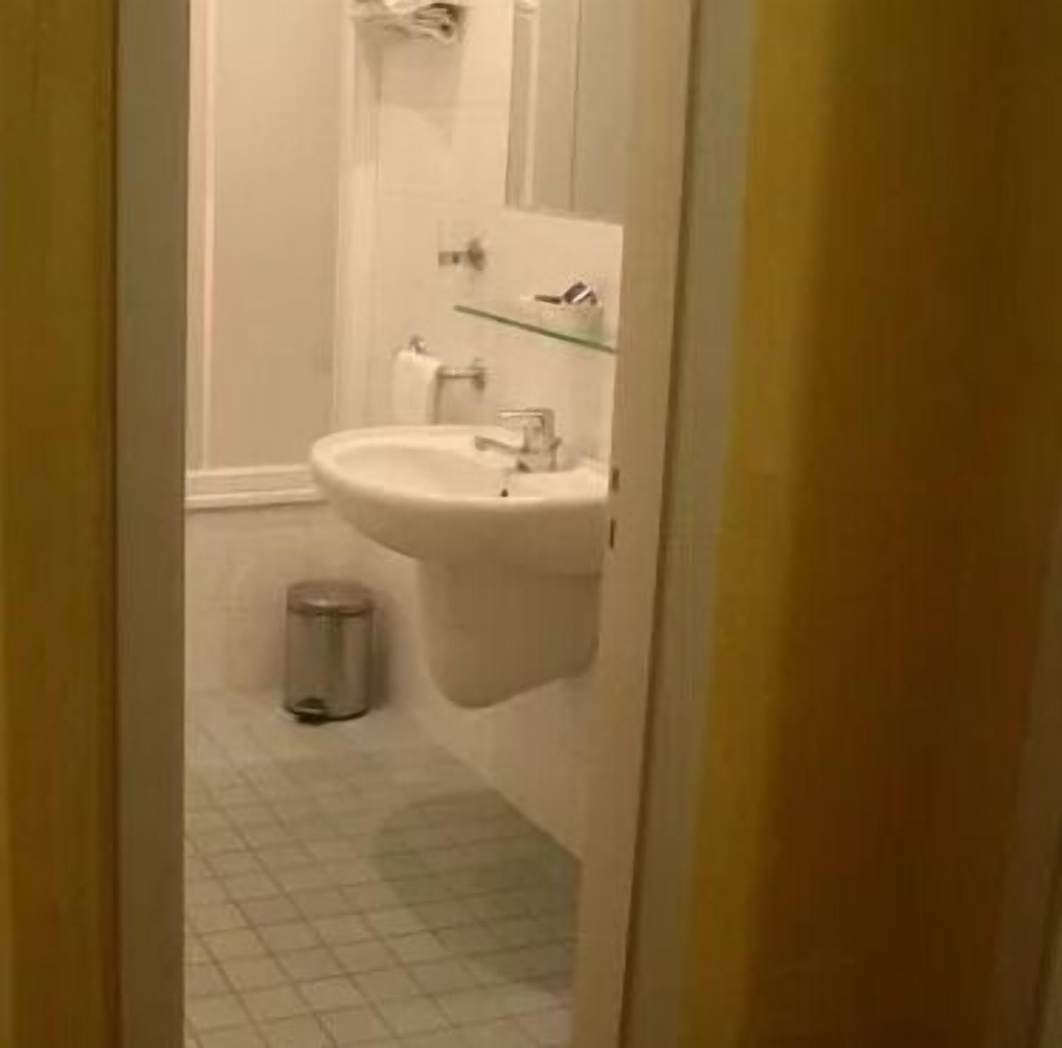 rainfall showerhead, free toiletries, hair dryer, bidet