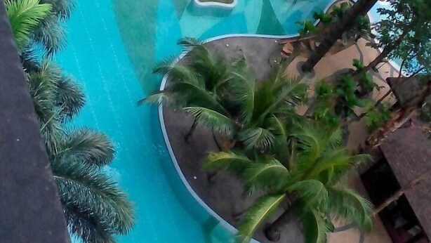 Une piscine au design original, entourée de palmiers et avec un immeuble à plusieurs étages en arrière-plan.