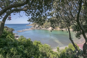 View from property - Beachfront Enclosure Bay (Waiheke Island)