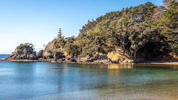 Drop Anchor | Beach/ocean view