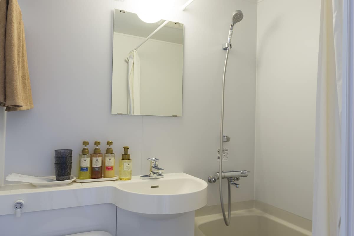 combined shower/bathtub, hair dryer, slippers, bidet