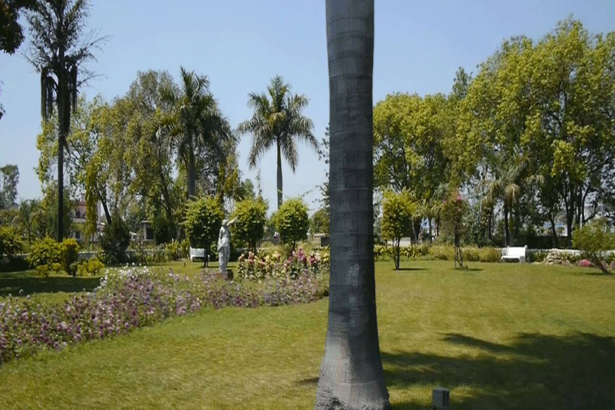 Vista al jardín