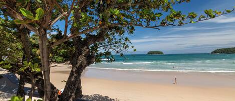 A beach with clear skies, a sandy shore, and a tree in the foreground.
