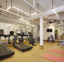 Gimnasio