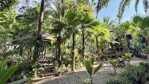 Un jardin tropical avec des palmiers, une structure en bois et un chemin de gravier.