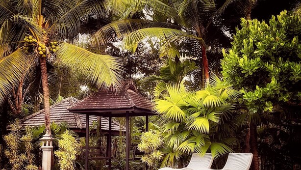 Un espace piscine agrémenté de chaises longues, d’un kiosque et d’une végétation tropicale.