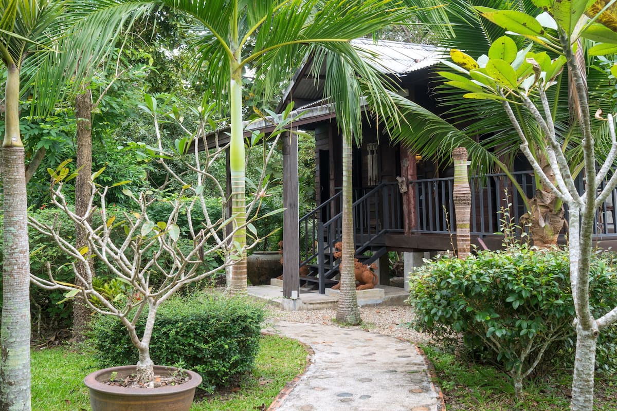 A pathway leading to a wooden structure surrounded by lush greenery and a large potted plant.