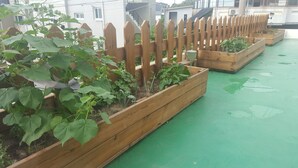 A rooftop garden with wooden planters and a green floor.