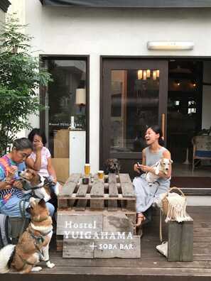 Outdoor dining - Hostel Yuigahama & Soba Bar (Kamakura)