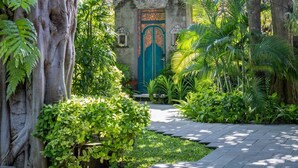 A pathway leading to a traditional building with a green door, surrounded by lush greenery and large trees. - The Alantara Sanur (Denpasar)
