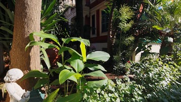Jardín