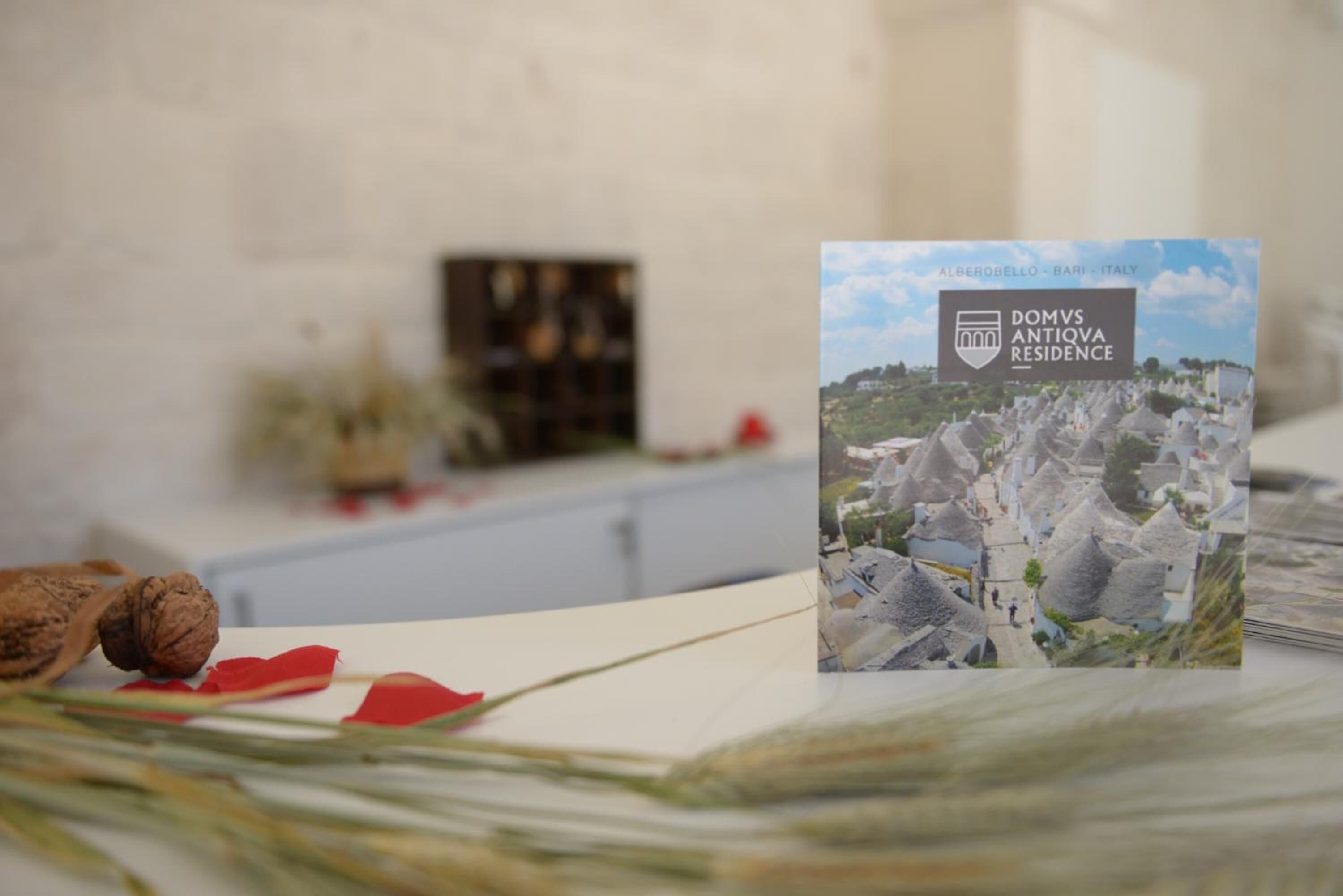 Foto - Domus Antiqua Residence