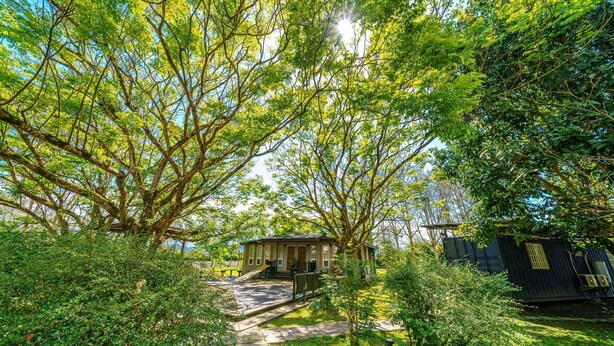 A rustic cabin with a stone pathway leading to the entrance, surrounded by lush greenery and trees. - FangShug B&B (Fenglin)