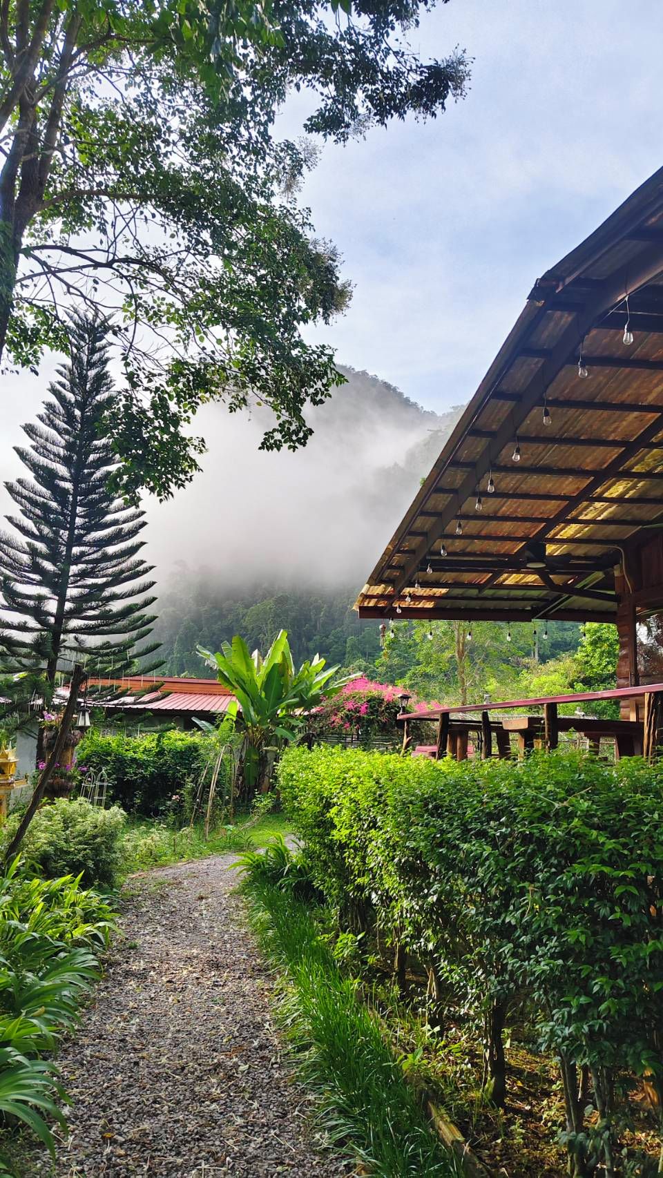 A rustic wooden structure with a gravel path leading to it, surrounded by lush greenery and a mountain backdrop.