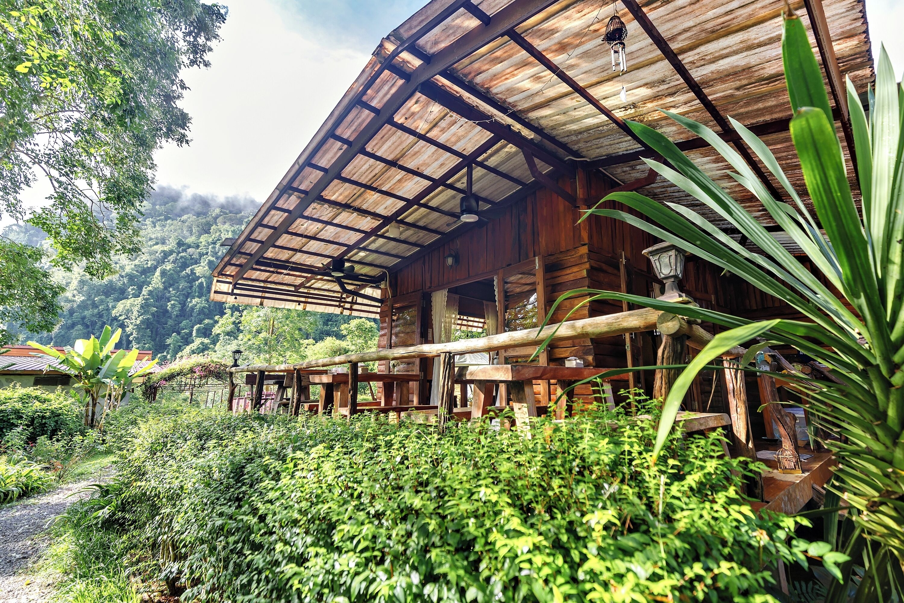 A rustic wooden building with a thatched roof, surrounded by lush greenery and a forested hillside.