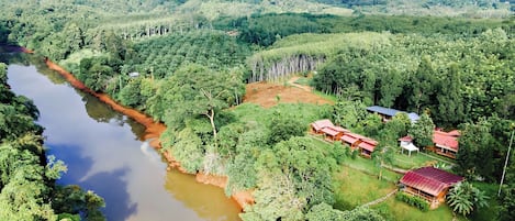 Eine Vogelperspektive auf eine üppige Landschaft mit einem Fluss, dichtem Wald und mehreren Gebäuden mit roten Dächern.