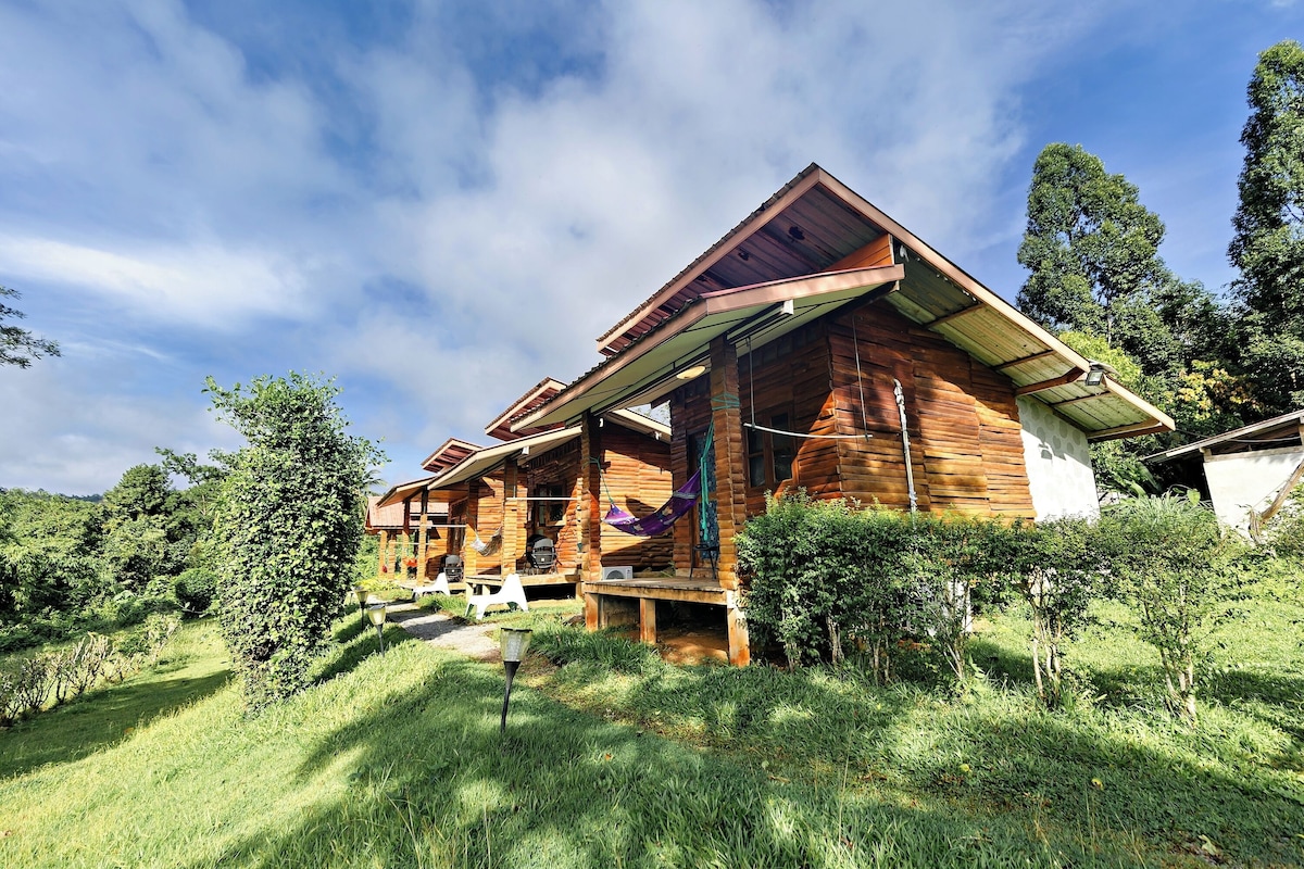 A wooden cabin with a porch, surrounded by lush greenery and trees.