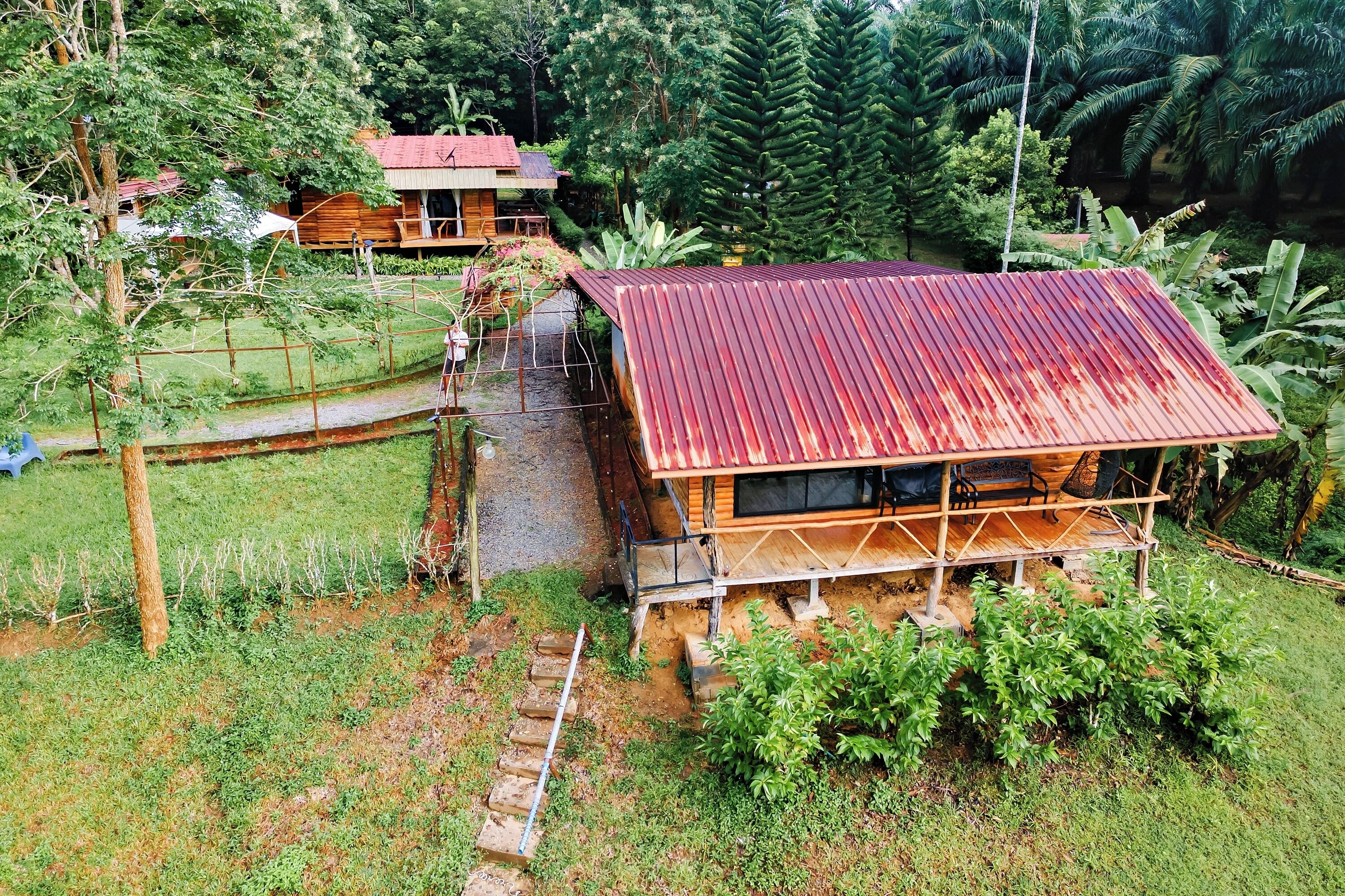 A rustic wooden house with a metal roof, surrounded by lush greenery and a small wooden deck.