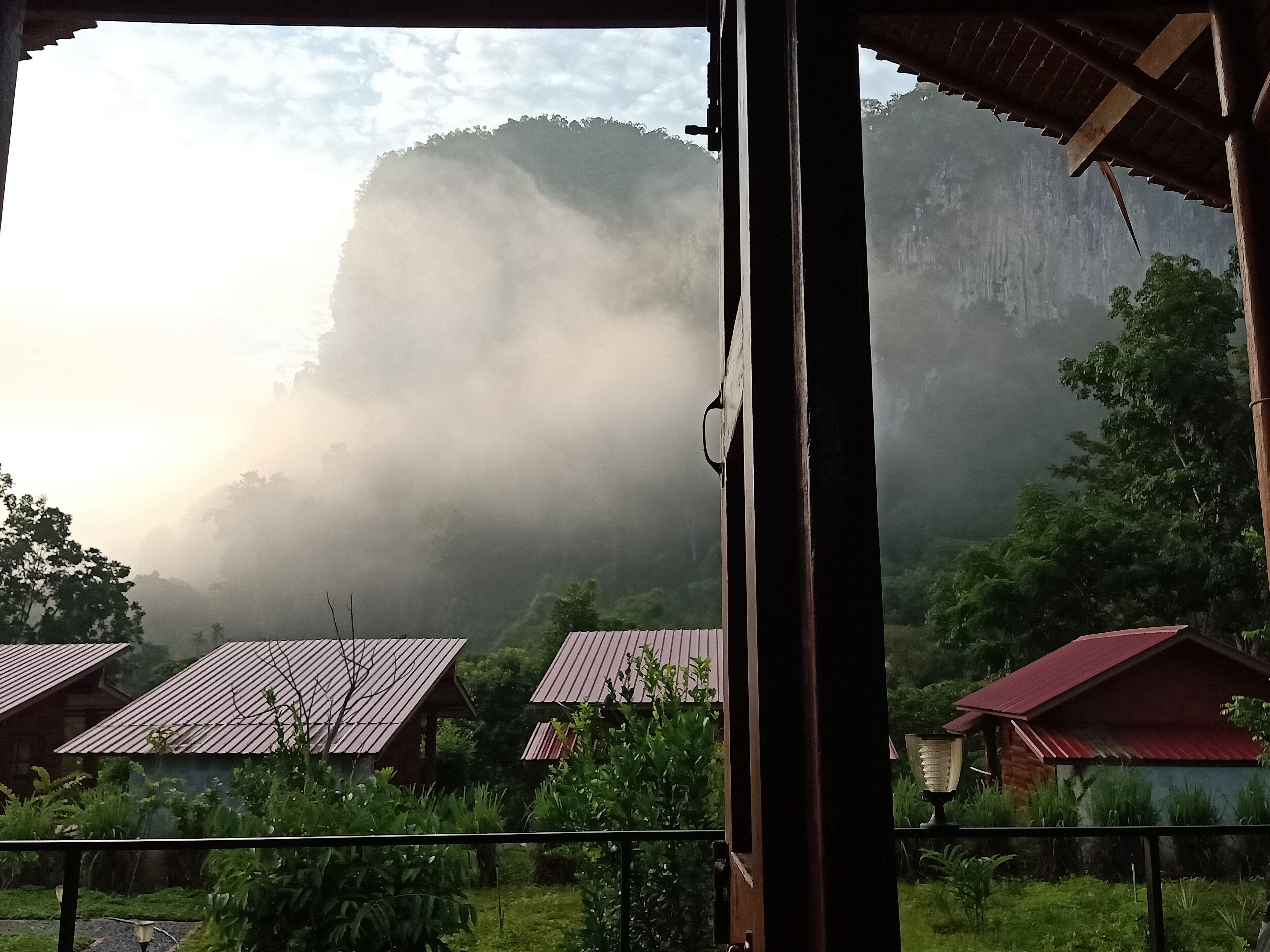 A view of a rustic building with a metal roof, surrounded by lush greenery and a misty mountain backdrop.
