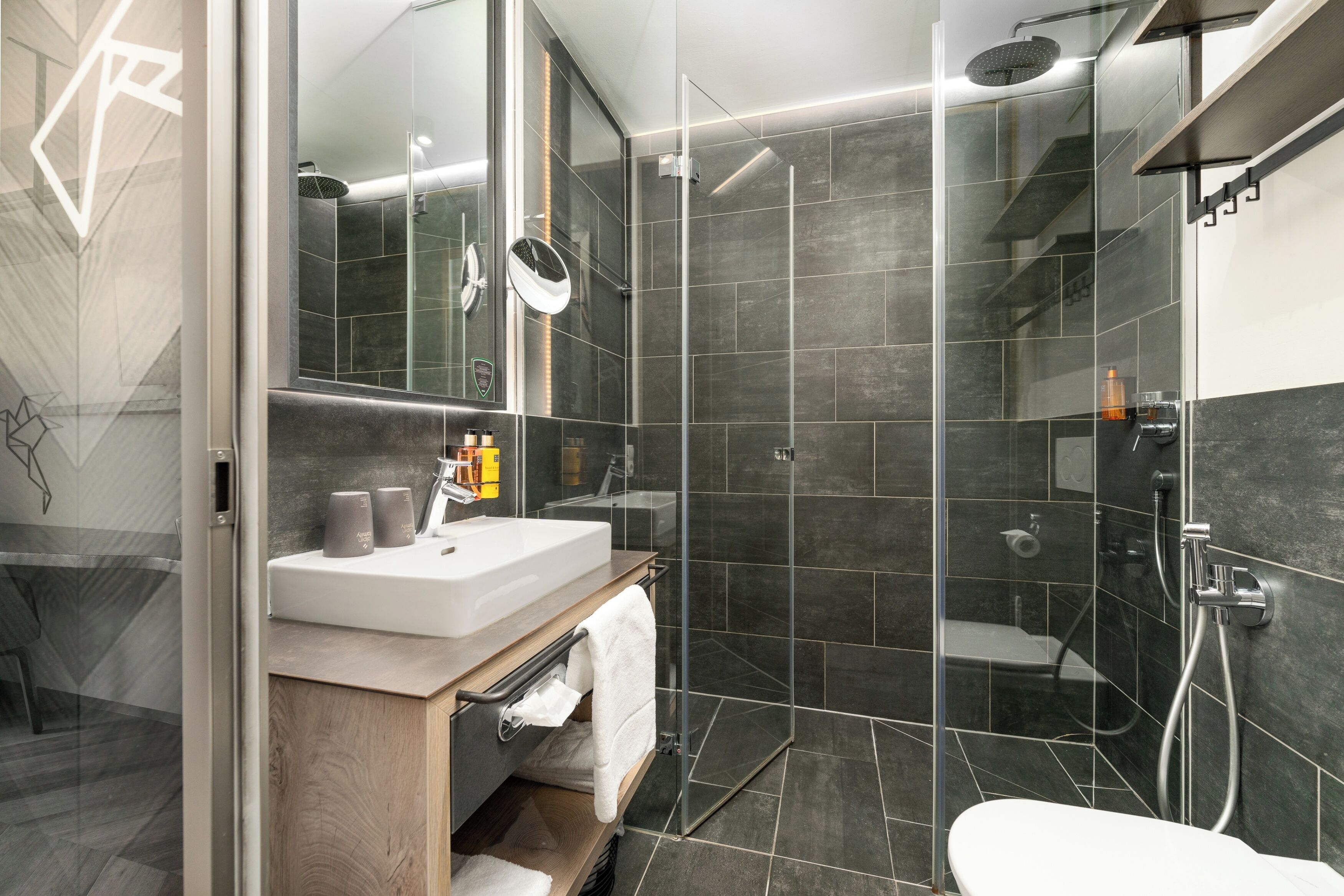A modern bathroom with a glass shower enclosure, a white sink, and a toilet.
