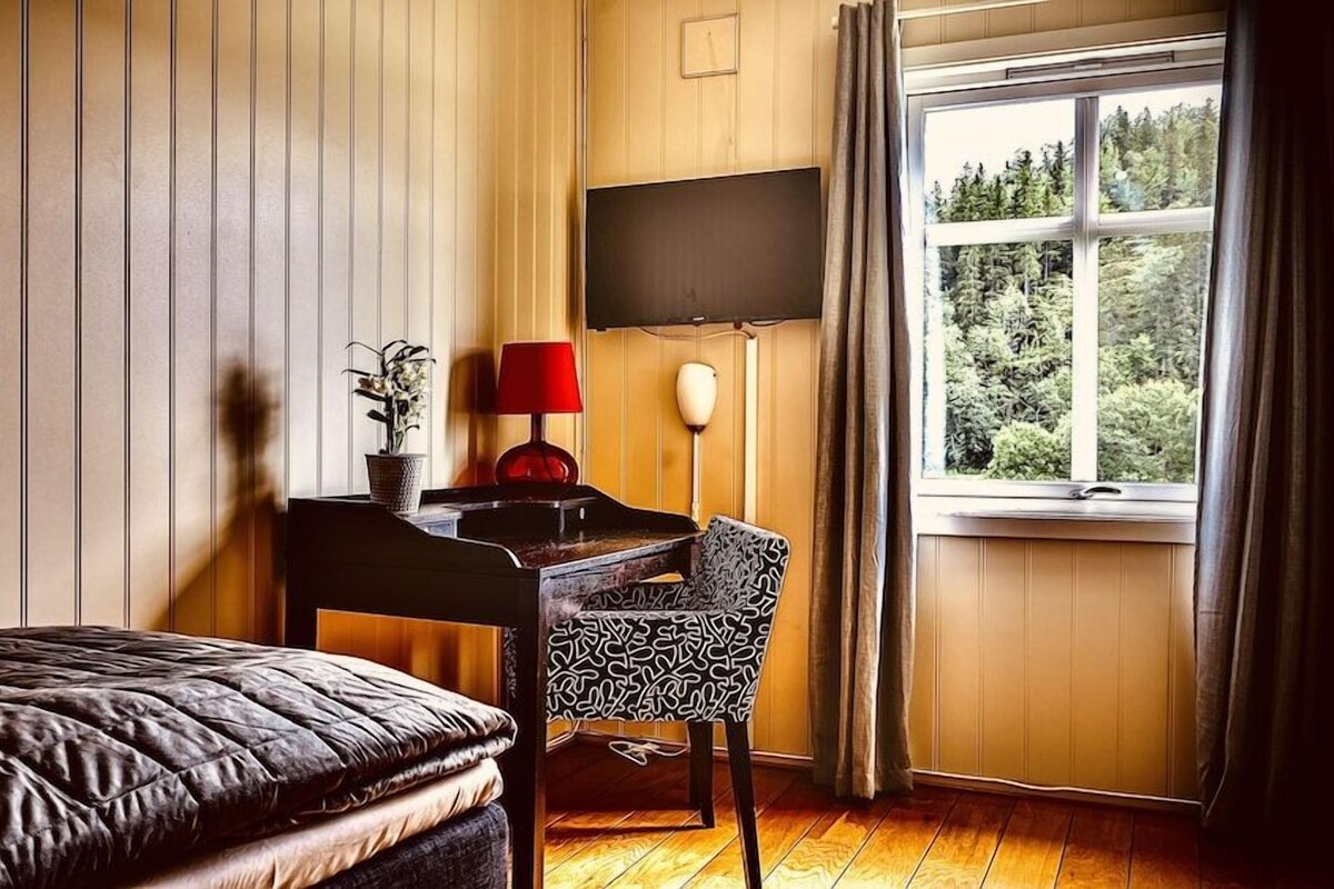Pillowtop-bedden, een bureau, een laptopwerkplek