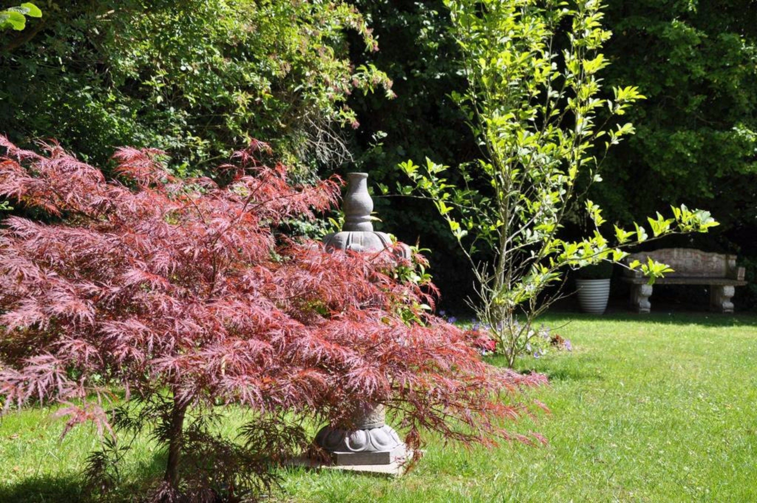 A garden with a stone statue, red foliage, and a variety of trees.
