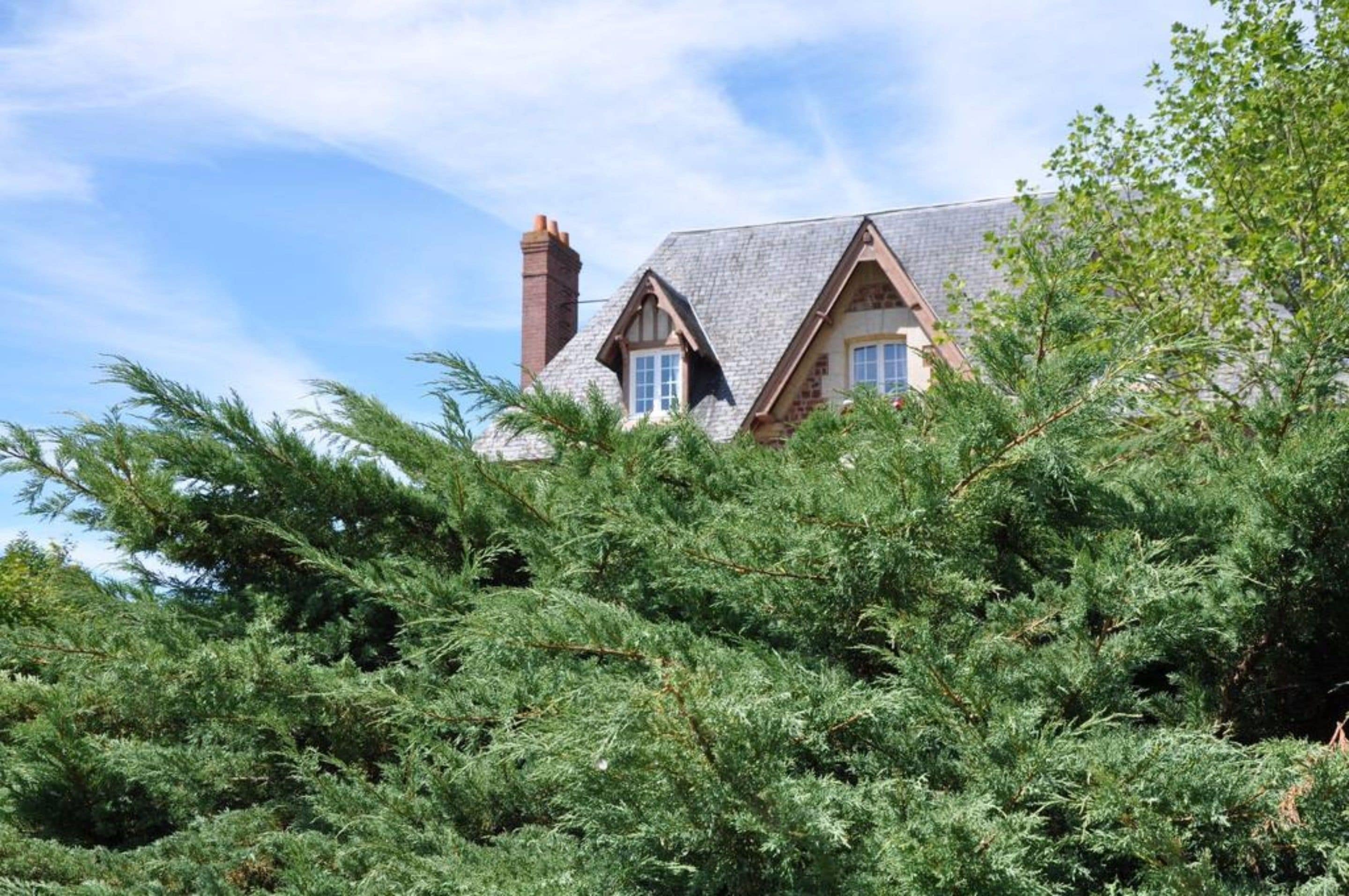 Foto - Manoir des Lions de Tourgéville