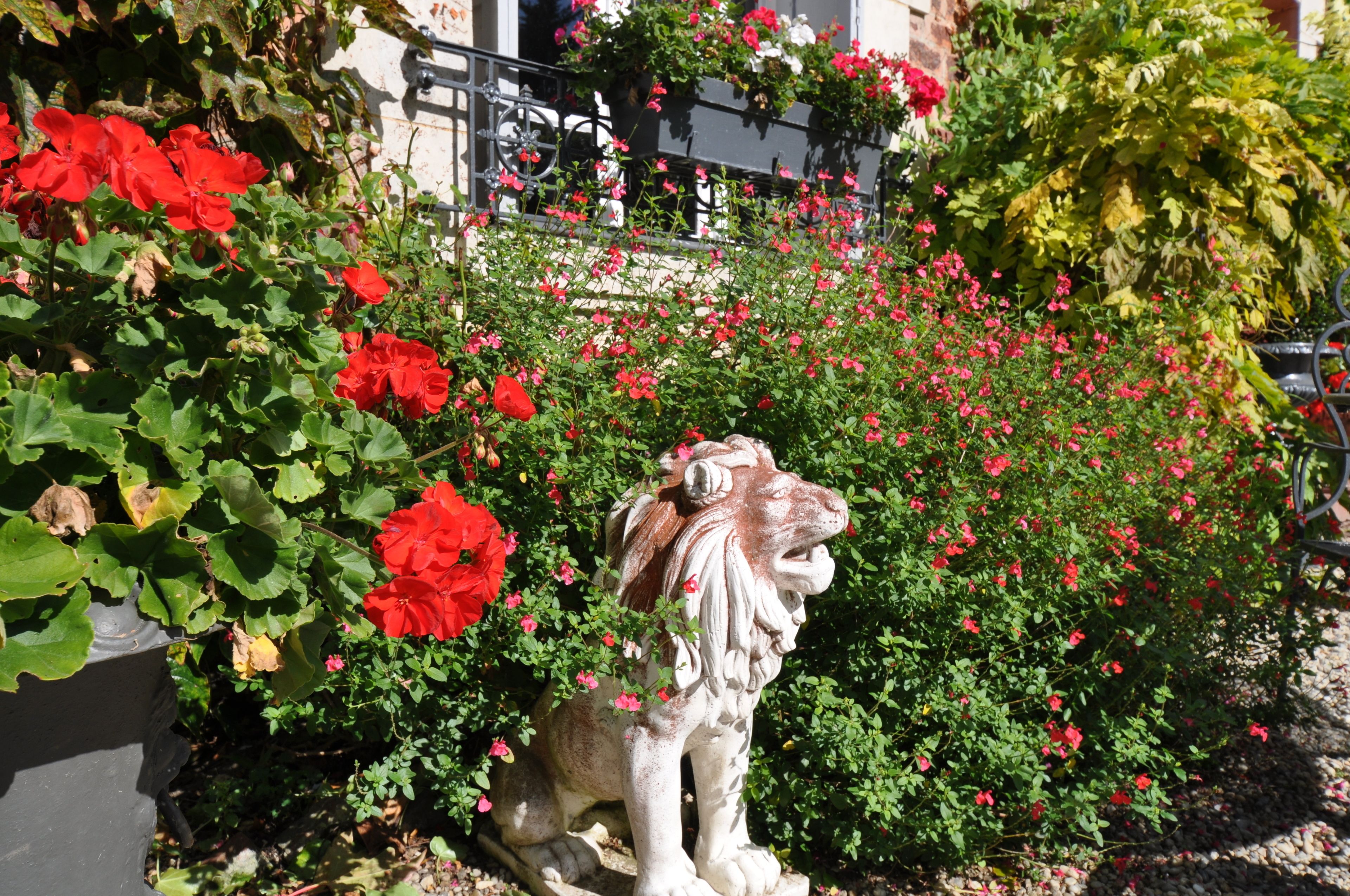 Foto - Manoir des Lions de Tourgéville