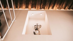 A bathtub with a unique design, a wooden ceiling, and a metal railing.