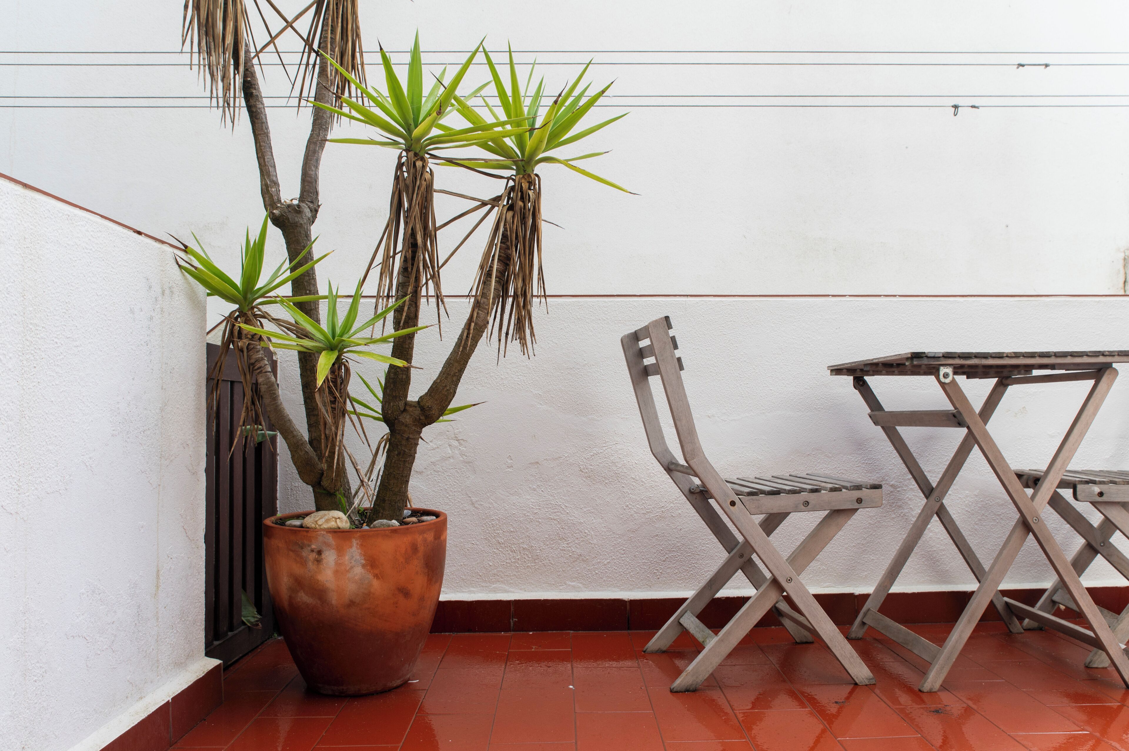 Photo - WOT Lodge Soul