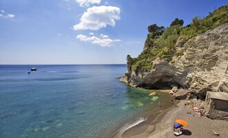 Vista desde la propiedad