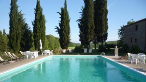 A rectangular swimming pool with a stone deck, surrounded by white lounge chairs and tall trees. - Agriturismo Natura e Salute (San Gimignano)