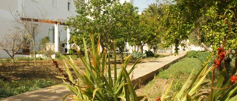 A courtyard with a pathway, greenery, and a white building with columns.