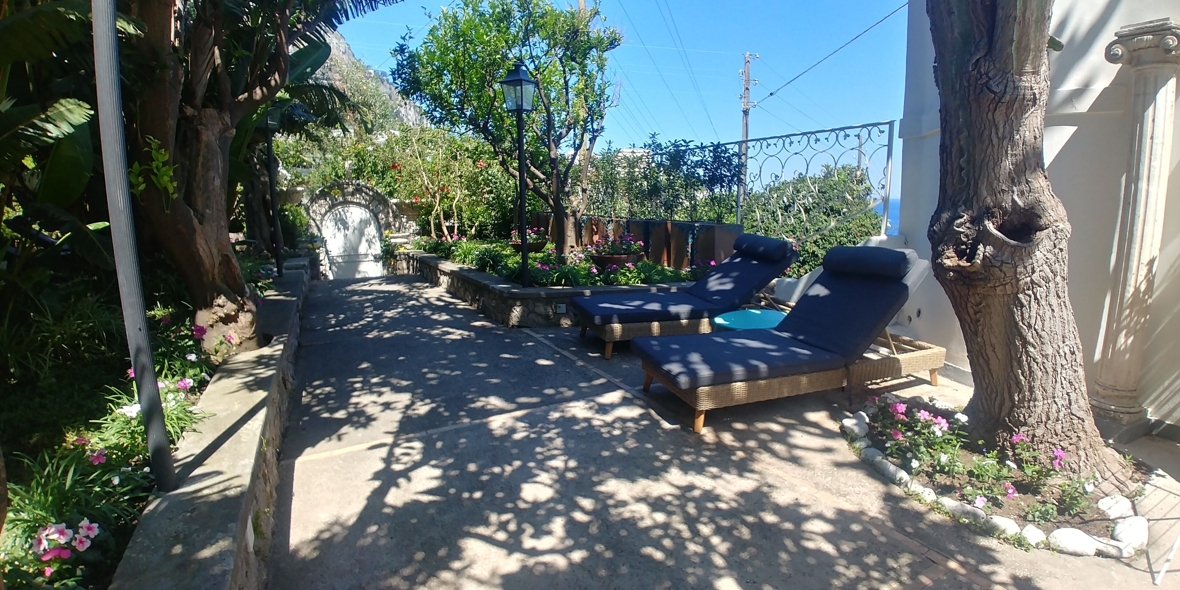 Jardin