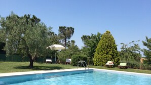 A clear blue swimming pool with a ladder, surrounded by trees and lounge chairs. - Agriturismo al Colle (Bertinoro)