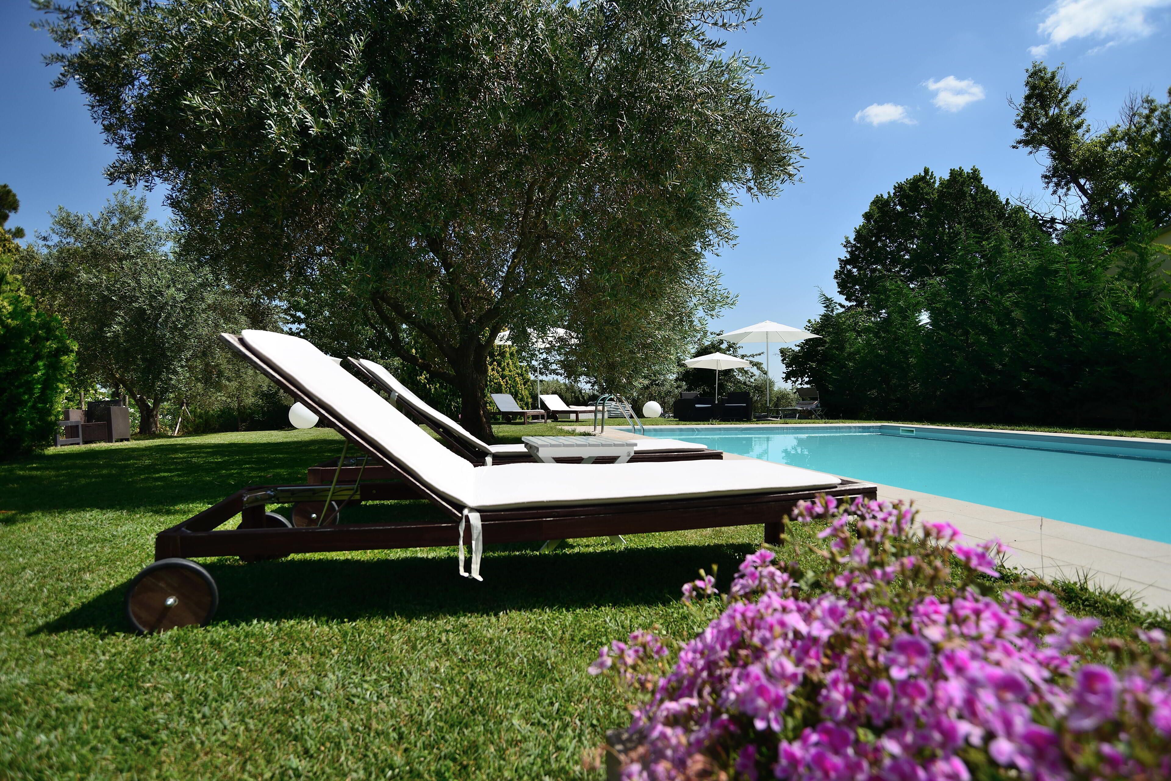 Ein Poolbereich mit Liegestühlen, einem Pool und einer Pergola.